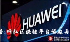 2025必看：网红区块链平台