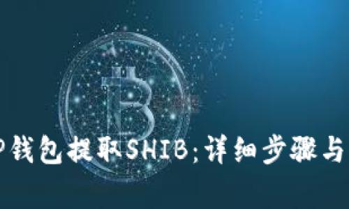 如何从TP钱包提取SHIB：详细步骤与注意事项