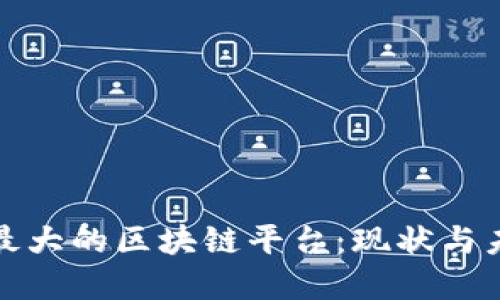 : 中国最大的区块链平台：现状与未来展望