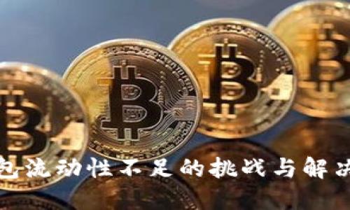 TP钱包流动性不足的挑战与解决方案
