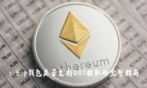 : t p钱包是否支持DOT提取的完整指南