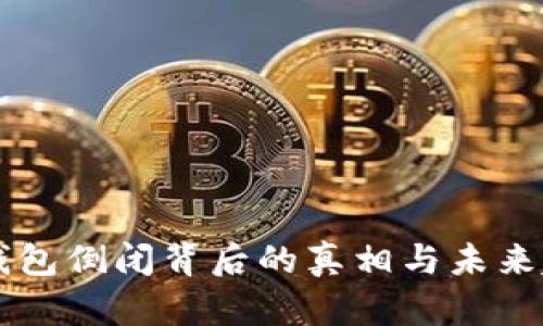 解密TP钱包倒闭背后的真相与未来趋势分析