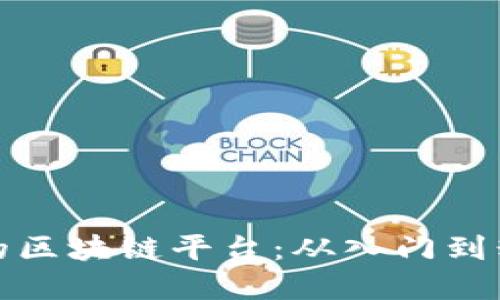 如何设计高效的区块链平台：从入门到精通的完整教程