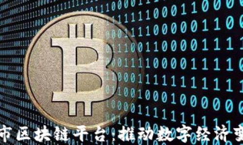 
韩国世宗市区块链平台：推动数字经济变革的先锋