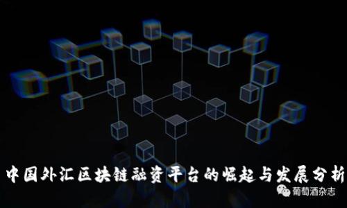 中国外汇区块链融资平台的崛起与发展分析