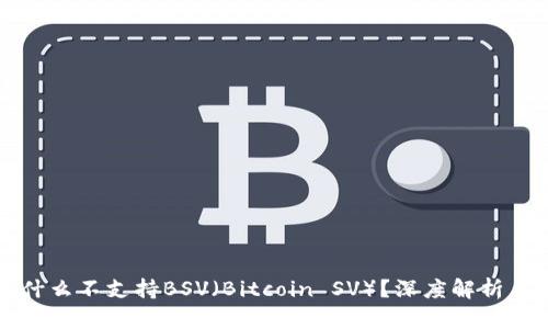 TP钱包为什么不支持BSV（Bitcoin SV）？深度解析与用户指南