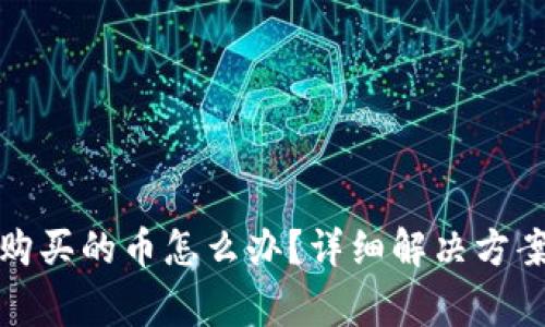 TP钱包忘记购买的币怎么办？详细解决方案与注意事项