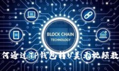 如何通过TP钱包转U美元视