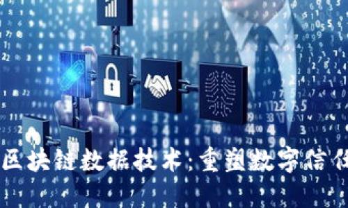 平台式区块链数据技术：重塑数字信任的未来