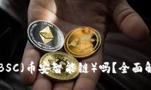 div
  TP钱包支持BSC（币安智能链）吗？全面解析与使用指南