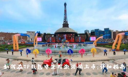 如何在TP钱包中使用激活码上币：详细指南