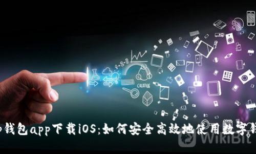 t p钱包app下载iOS：如何安全高效地使用数字钱包