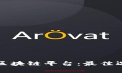 探索多样化的区块链平台