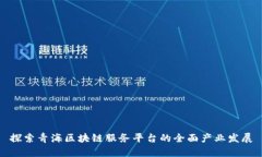 探索青海区块链服务平台