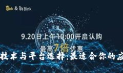 区块链技术与平台选择：