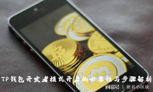TP钱包开发者模式开启的必要性与步骤解析