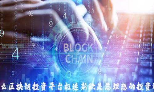 
为什么区块链投资平台极速新欧是您理想的投资选择？