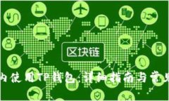 如何在国内使用TP钱包：详