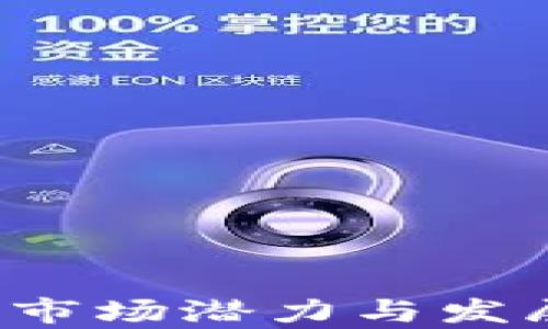 
t p钱包的市场潜力与发展策略分析