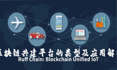 区块链共建平台的类型及应用解析