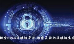 深入探索NULS区块链平台：