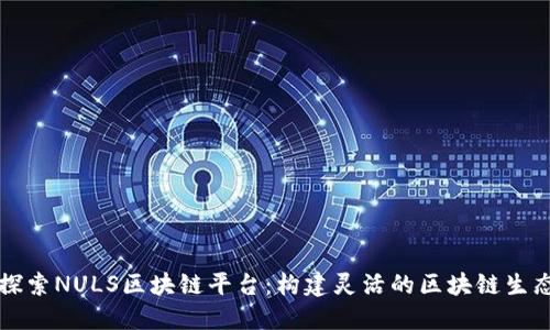 深入探索NULS区块链平台：构建灵活的区块链生态系统