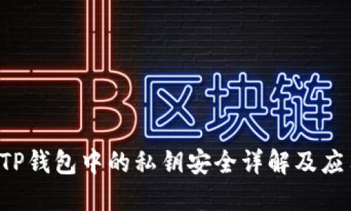  TP钱包中的私钥安全详解及应用