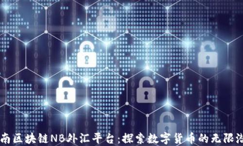 
云南区块链NB外汇平台：探索数字货币的无限潜力