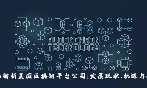 全面解析美国区块链平台公司：发展现状、机遇与挑战