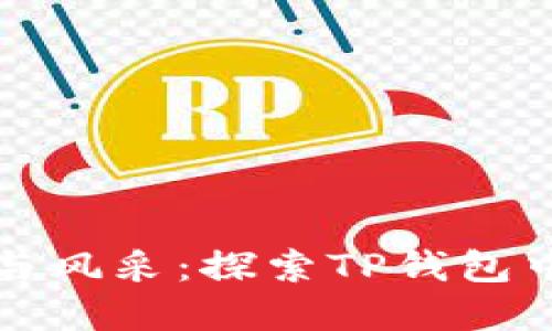 苏轼的智慧与风采：探索TP钱包中的历史文化