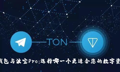 深入解析TP钱包与波宝Pro：选择哪一个更适合您的数字资产管理需求？