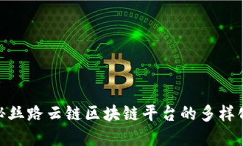 : 揭秘丝路云链区块链平台的多样化选择