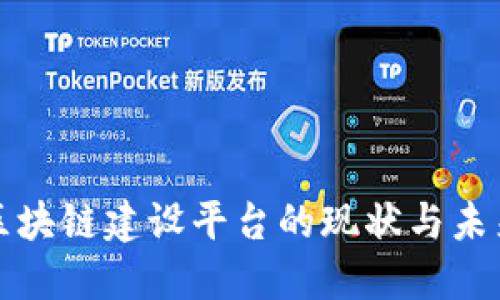 政务区块链建设平台的现状与未来展望