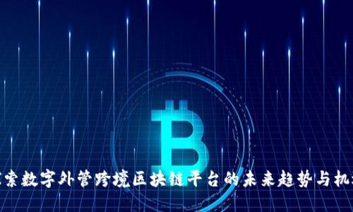 探索数字外管跨境区块链平台的未来趋势与机遇
