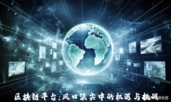 区块链平台：风口浪尖中