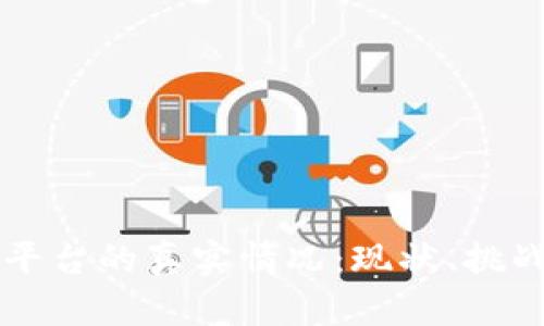 区块链平台的真实情况：现状、挑战与未来