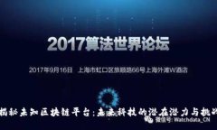 揭秘未知区块链平台：未