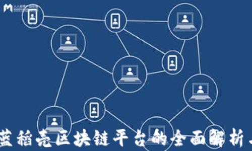 
天喻信息：蓝稻壳区块链平台的全面解析与应用前景