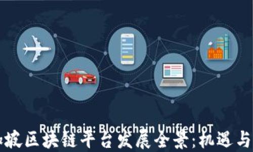 
新加坡区块链平台发展全景：机遇与挑战