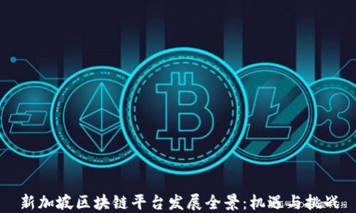 
新加坡区块链平台发展全景：机遇与挑战