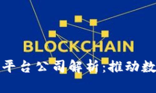 安徽政务区块链平台公司解析：推动数字化政务新模式