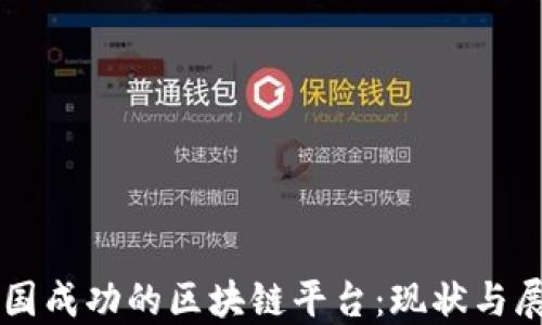 
中国成功的区块链平台：现状与展望