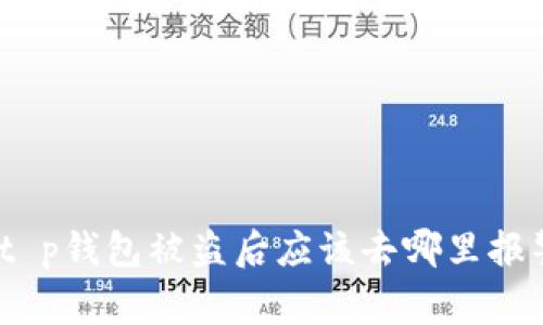 : t p钱包被盗后应该去哪里报警？