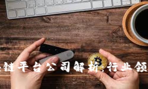 澳洲最大的区块链平台公司解析：行业领航者与未来趋势