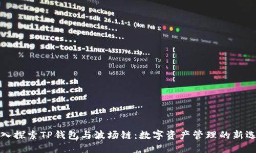 深入探索TP钱包与波场链：数字资产管理的新选择
