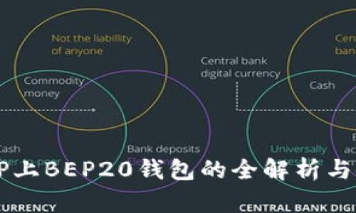 ### TP上BEP20钱包的全解析与使用指南