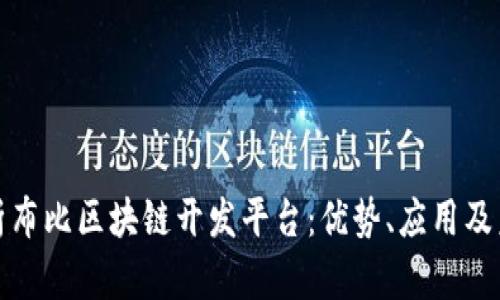 全面解析布比区块链开发平台：优势、应用及未来发展