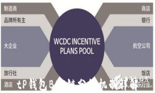 
tP钱包BSC链分红机制详解