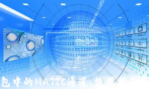 
探寻TP钱包中的MATIC通道：使用指南与实用技巧