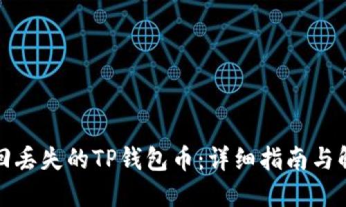 如何找回丢失的TP钱包币：详细指南与解决方案
